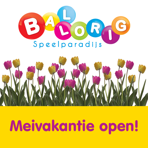 Ballorig Hoogezand