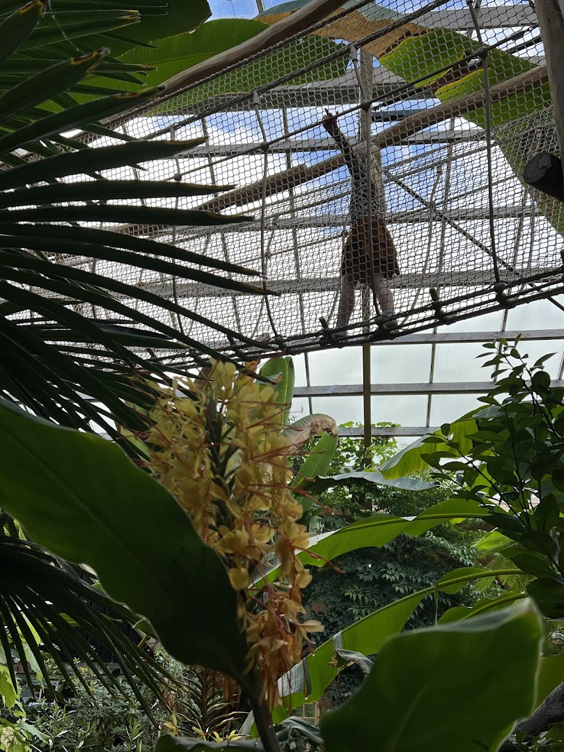 Binnenspeeltuin